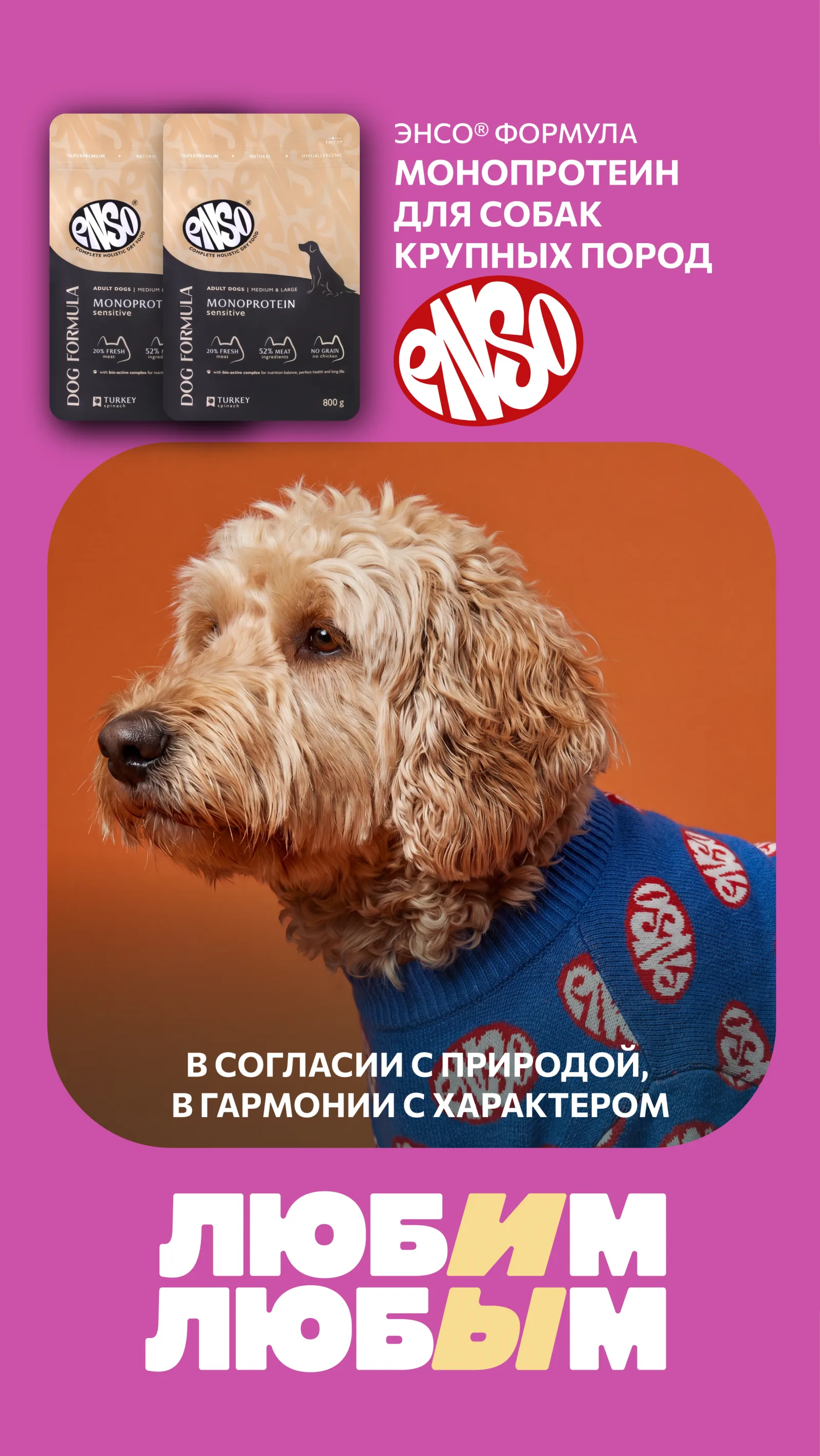 ЛЮБИМ ЛЮБЫМ – материал 4