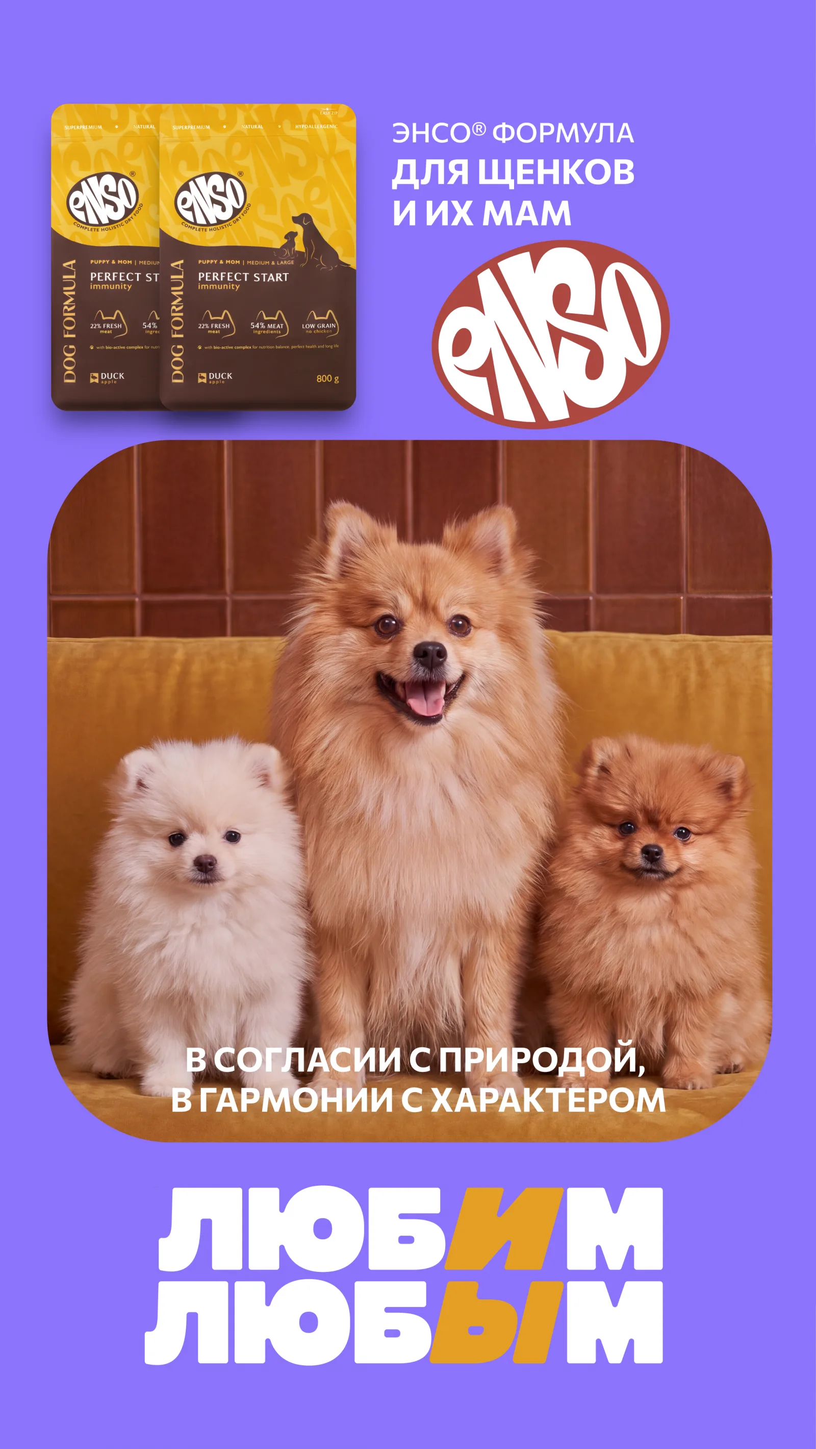 ЛЮБИМ ЛЮБЫМ – материал 5