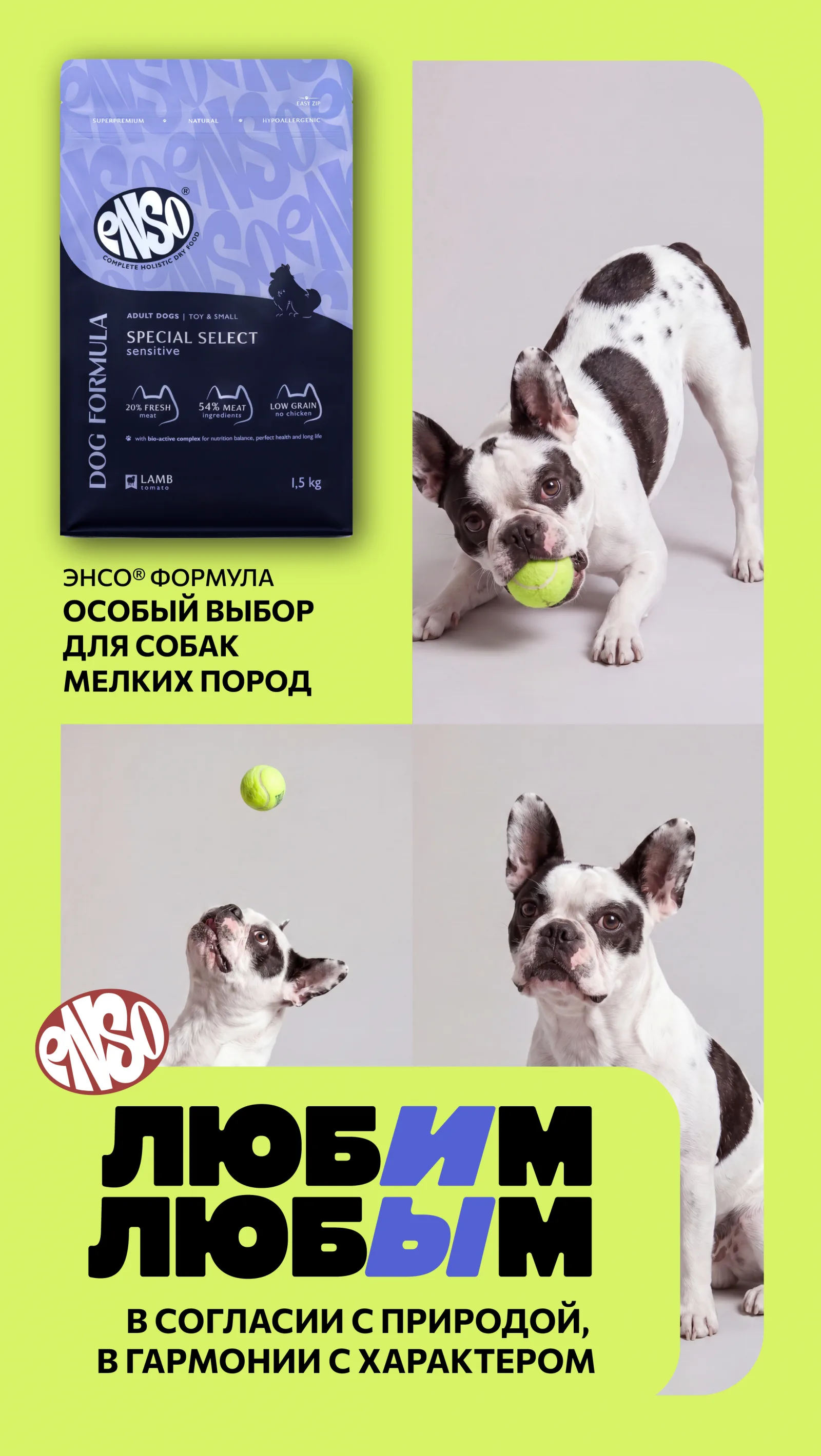 ЛЮБИМ ЛЮБЫМ – материал 8