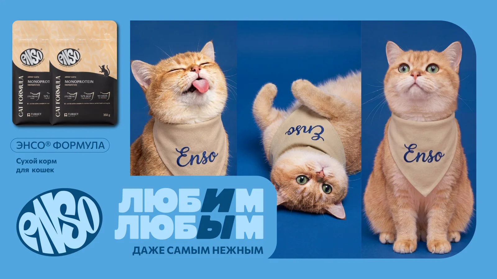 ЛЮБИМ ЛЮБЫМ – материал 11