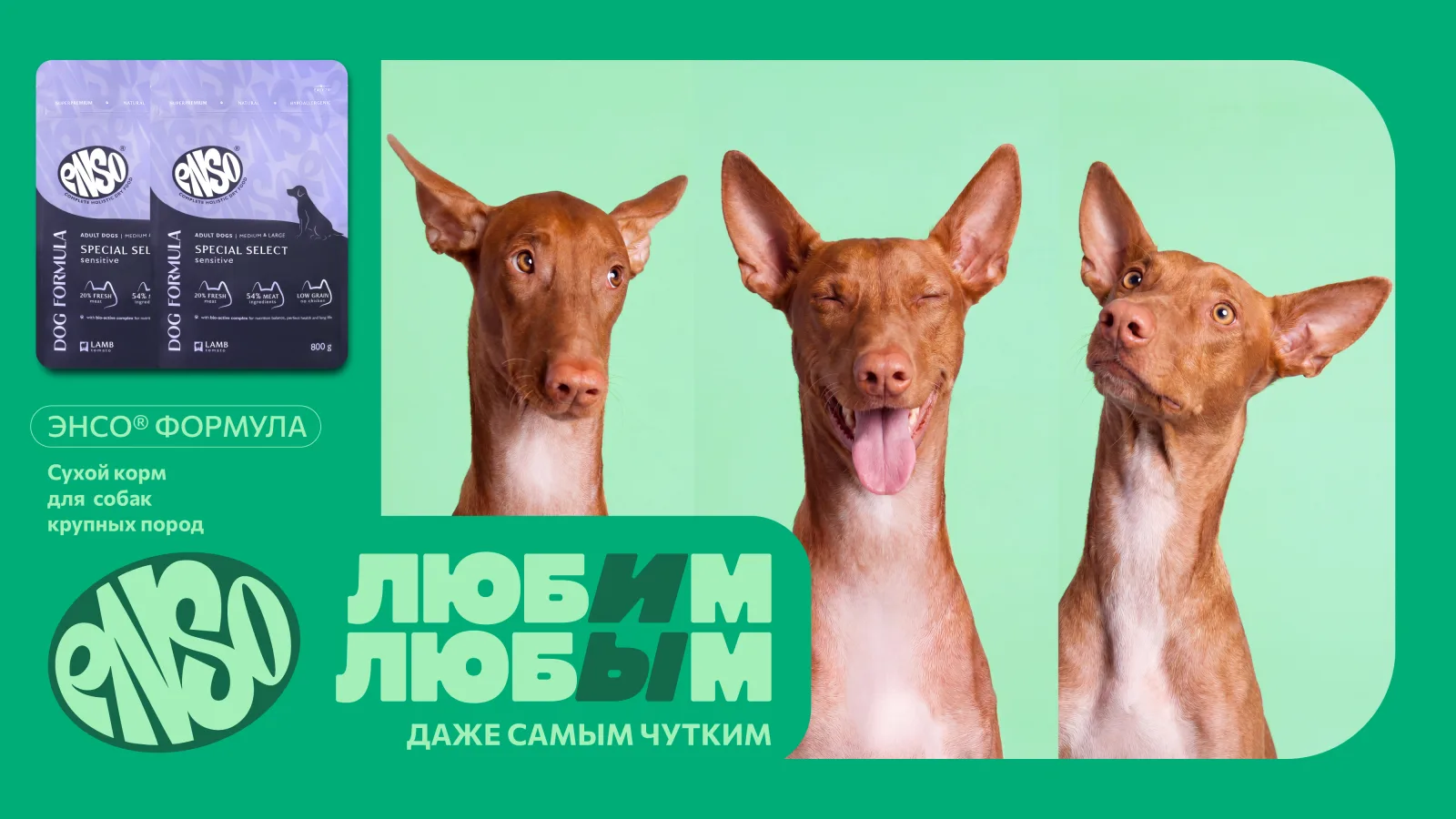ЛЮБИМ ЛЮБЫМ – материал 12